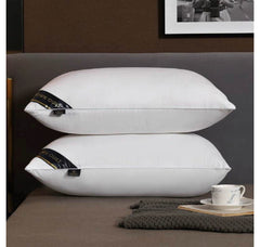 Vacuum Packed 2 Pillows VP-001